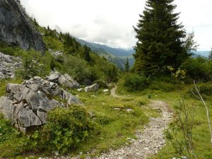 Col des Annes - AAZ TAXI ANNECY 74